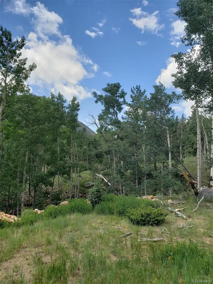 10th Street, Jasper, CO 81144 - #3