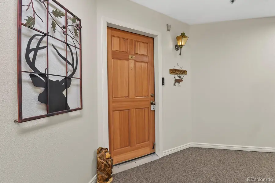 31819 Rocky Village Drive #111, Evergreen, CO 80439 - #2