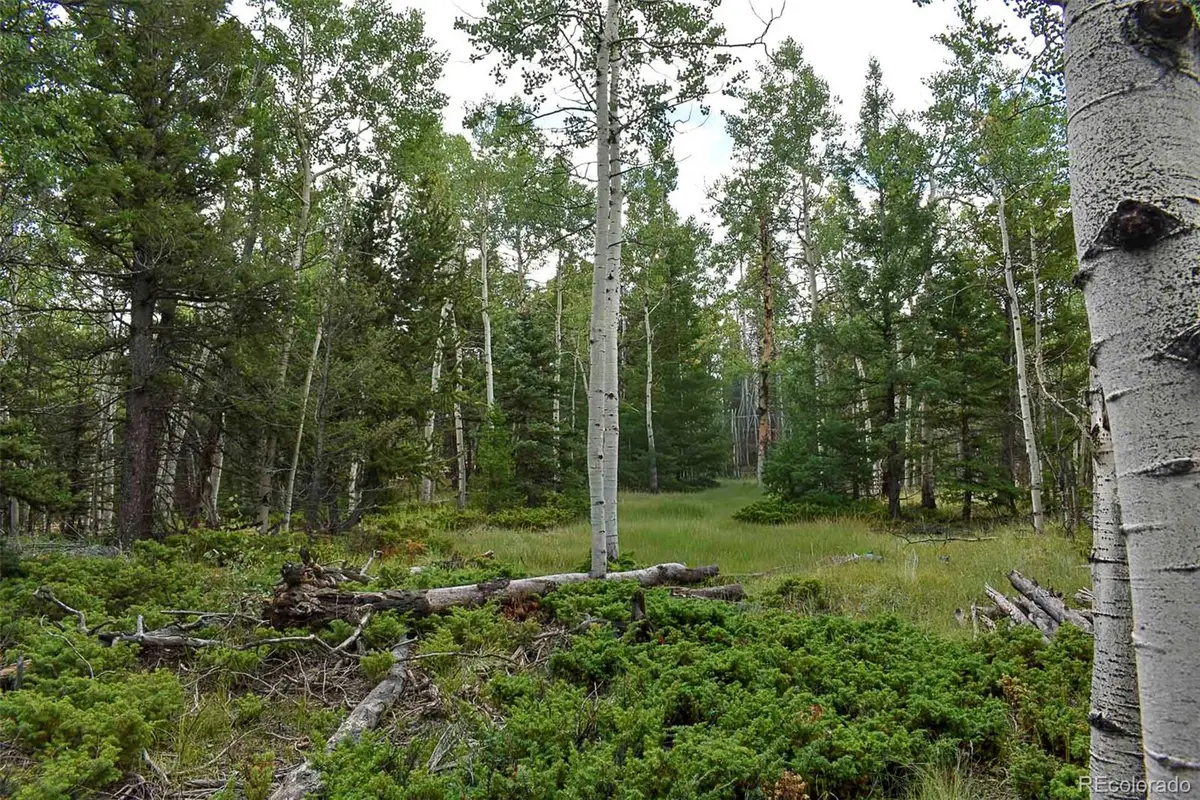 205 Timberline Drive, Guffey, CO 80820 - Image #1