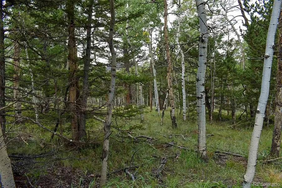 205 Timberline Drive, Guffey, CO 80820 - Image #3