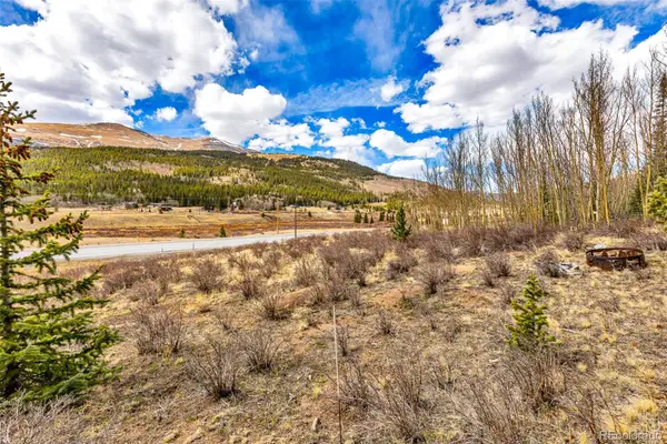 55780 Highway 9, Fairplay, CO 80440