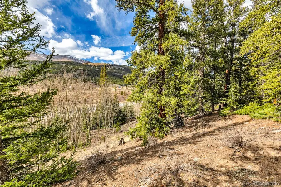 55780 Highway 9, Fairplay, CO 80440 - #2