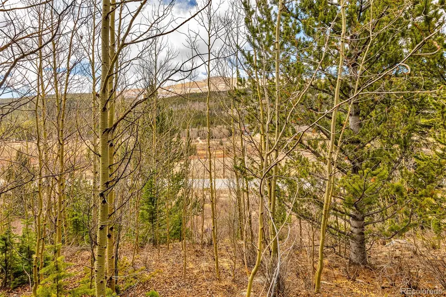 55780 Highway 9, Fairplay, CO 80440 - #3