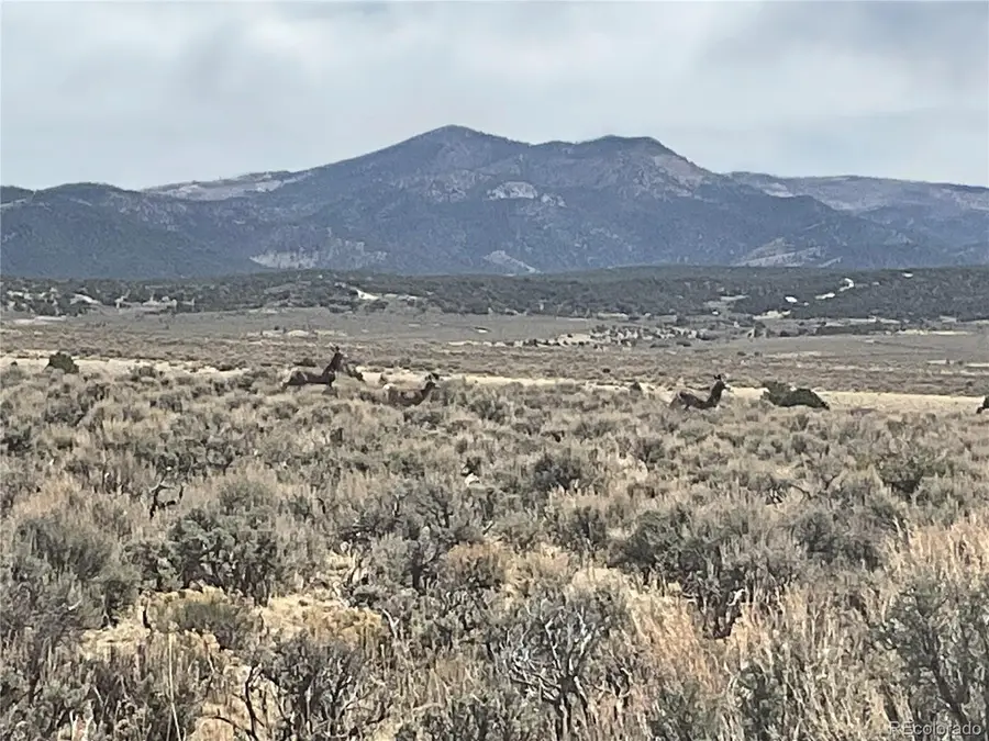 Lot 2923 Patterson Rd., Fort Garland, CO 81133 - #2