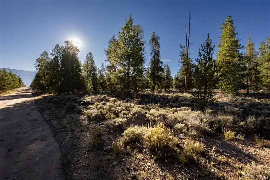 454 Spruce, Leadville, CO 80461 - #2