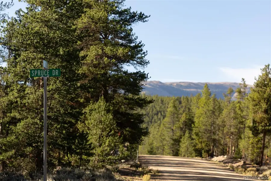 454 Spruce, Leadville, CO 80461 - #3