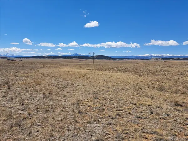 1356 Larimer Road, Hartsel, CO 80449