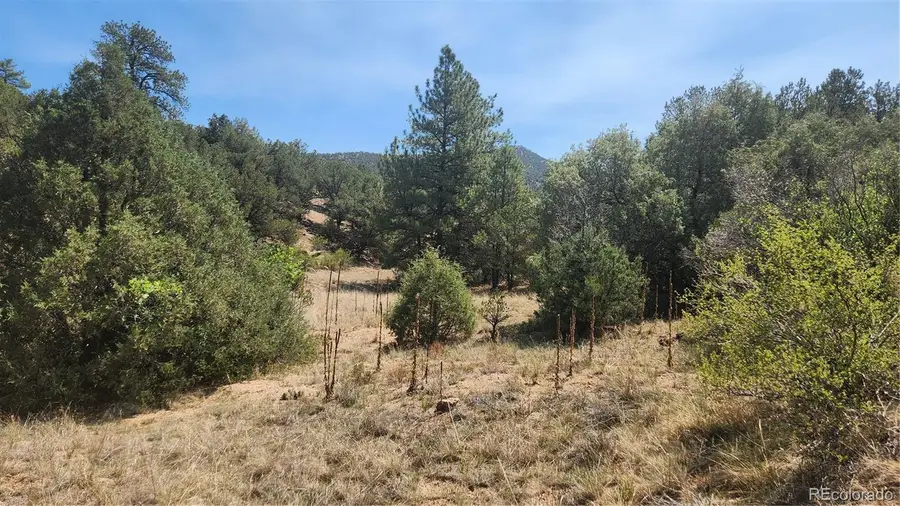 161 Ponderosa Lane, Cotopaxi, CO 81223 - #2