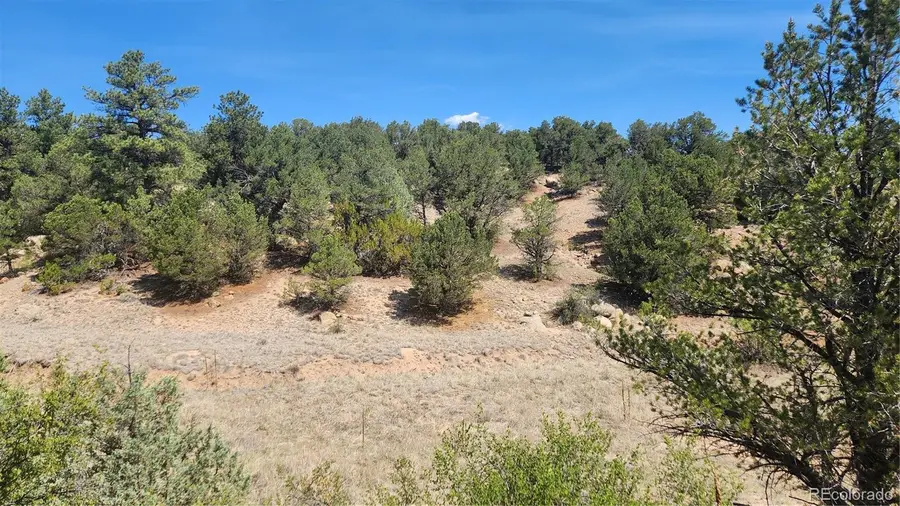 161 Ponderosa Lane, Cotopaxi, CO 81223 - #3