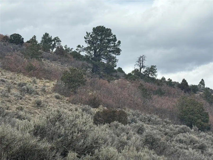Lot 129 Flavin Lane, Fort Garland, CO 81133 - #3