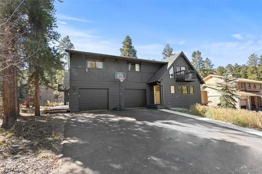 14 Red Feather Road, Breckenridge, CO 80424 - #2