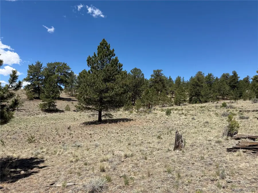 595 Bridle Path, Hartsel, CO 80449 - #3