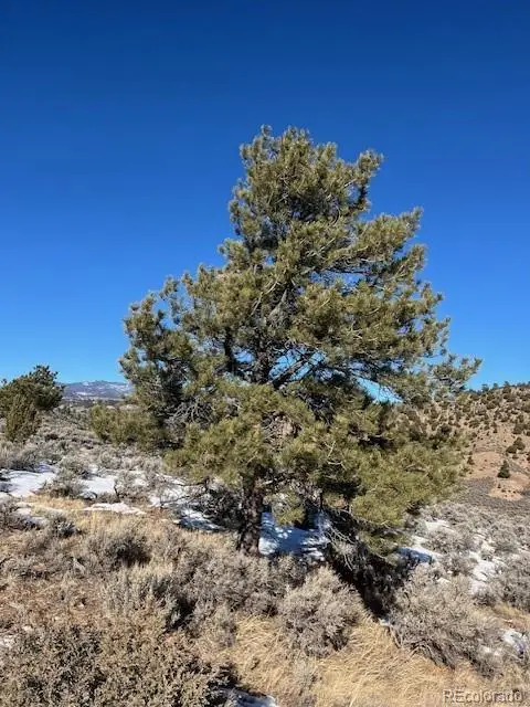 4850 Akers, Fort Garland, CO 81133 - Image #1