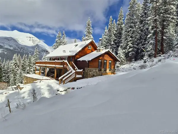 232 Goldfinch Place, Alma, CO 80420