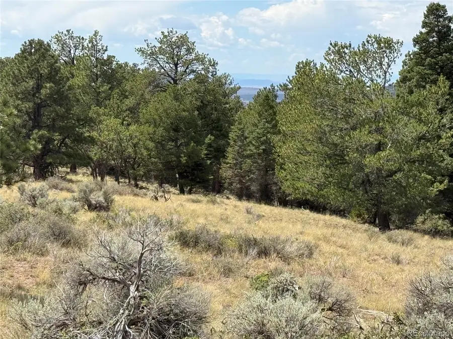 Lot 291 Kline Lane, Fort Garland, CO 81133 - #3