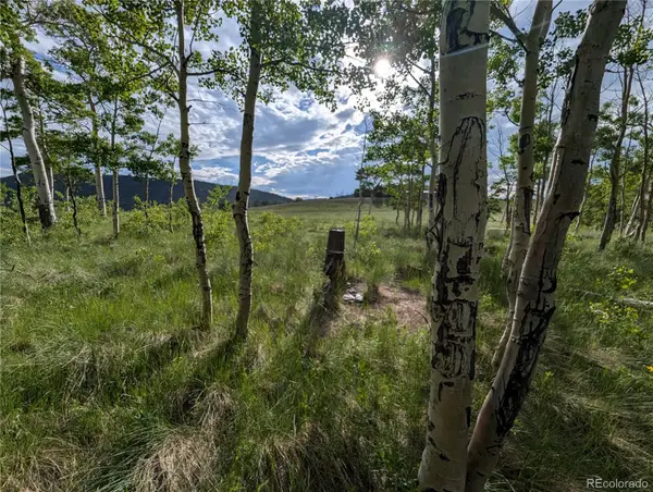 2433 Petito Drive, Fort Garland, CO 81133