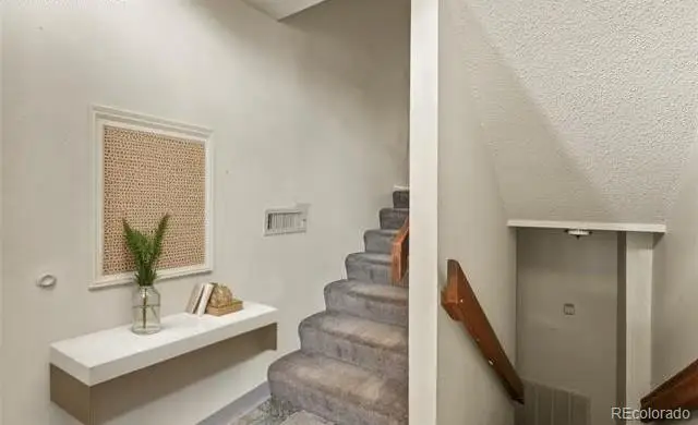 5024 Secota Lane, Colorado Springs, CO 80917 - Image #3