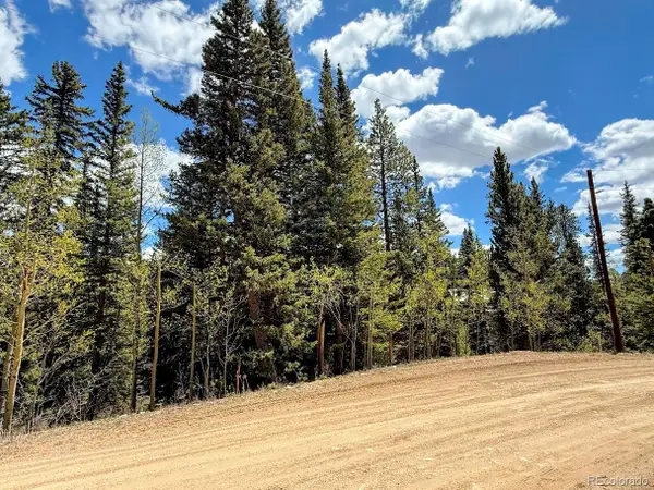 324 Bauxite Lane, Fairplay, CO 80440