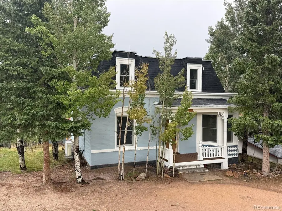 106 Porphyry Street, Cripple Creek, CO 80813 - #2