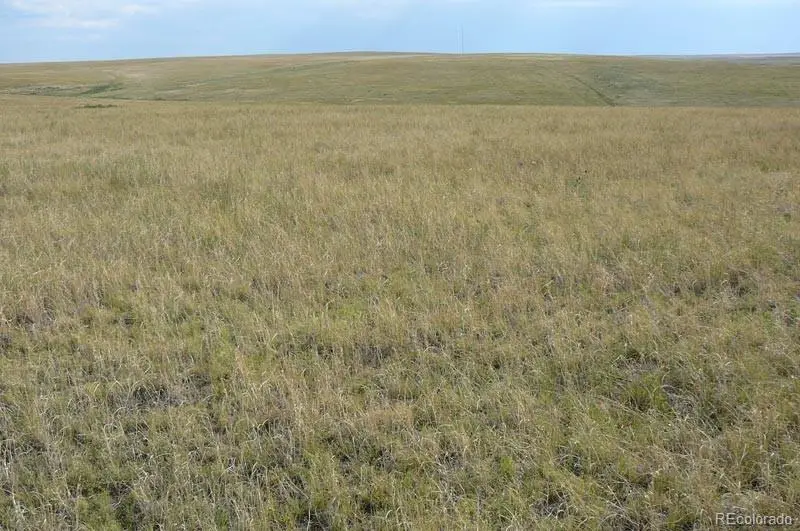 2215 Cr 269, Deer Trail, CO 80105 - Image #2