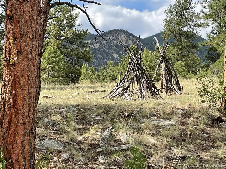 11993 Clear Creek Road, Hartsel, CO 80449 - Image #3