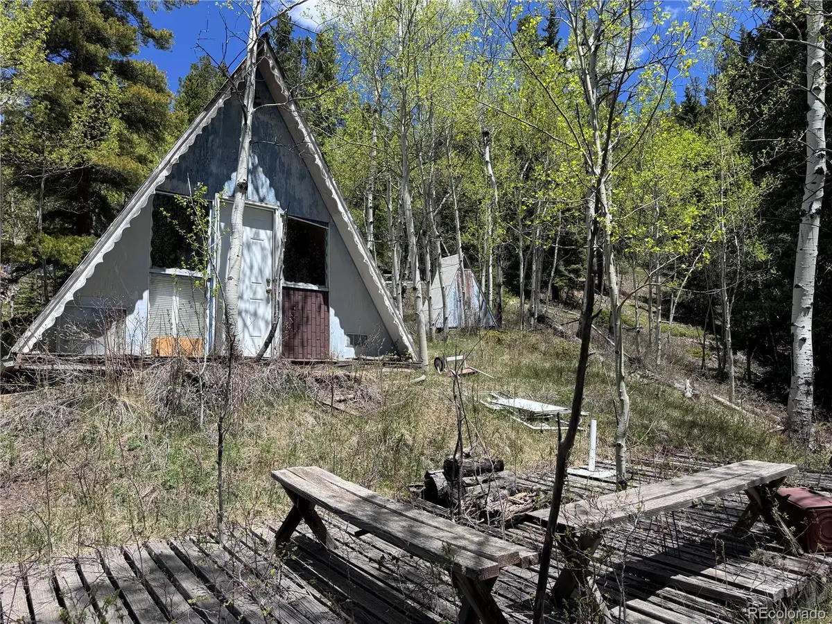 190 Blue Bell Lane, Idaho Springs, CO 80452 - #1