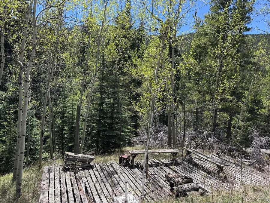 190 Blue Bell Lane, Idaho Springs, CO 80452 - #3