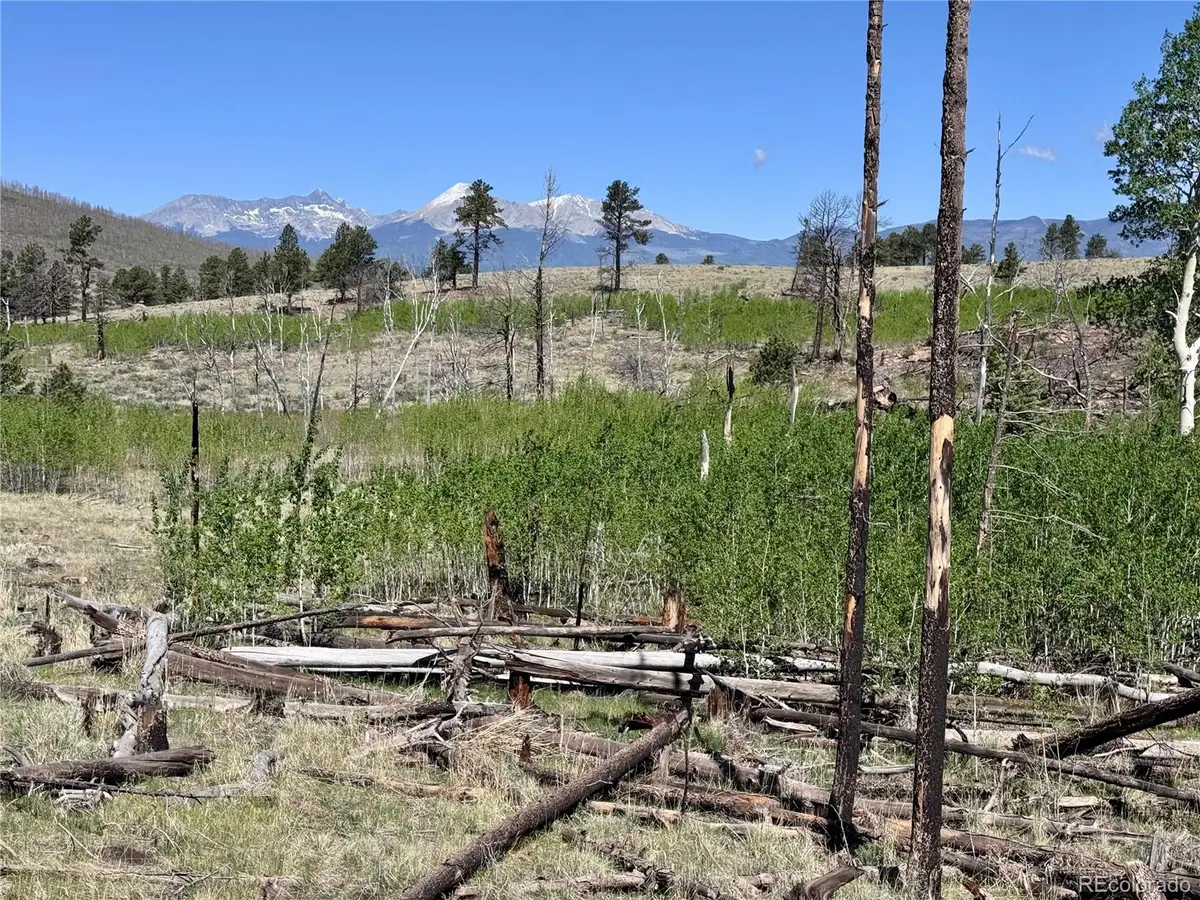 Lot 1102 Emery Loop, Fort Garland, CO 81152 - #1