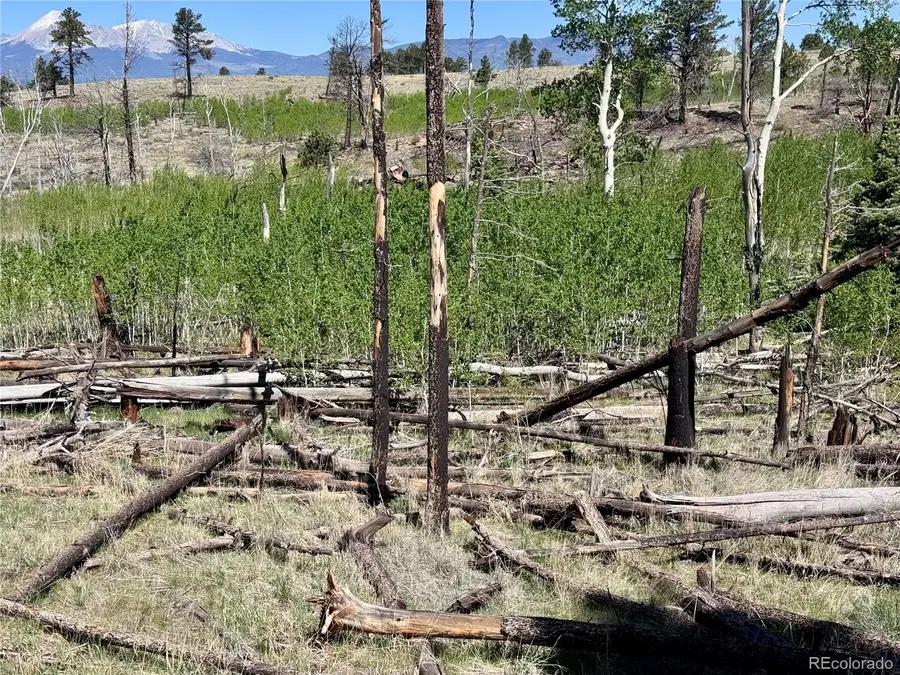 Lot 1102 Emery Loop, Fort Garland, CO 81152 - #2