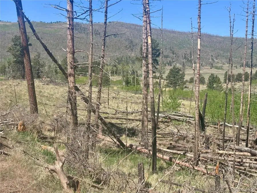 Lot 1102 Emery Loop, Fort Garland, CO 81152 - #3
