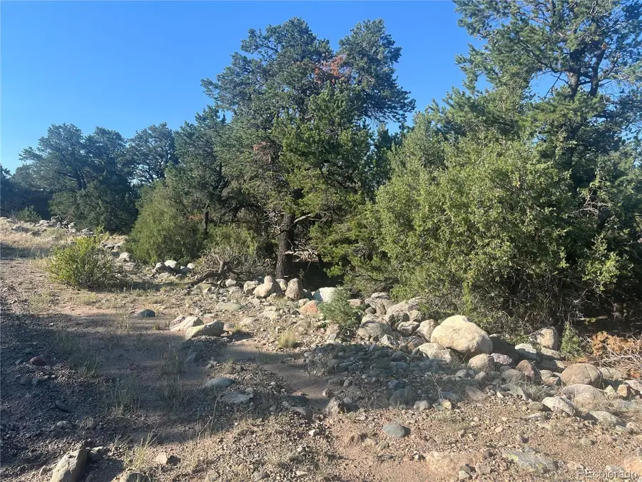 3641 Harmony Court, Crestone, CO 81131 - #2