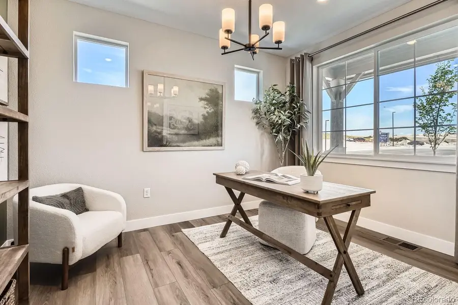 13796 Daffodil Point, Parker, CO 80134 - #3