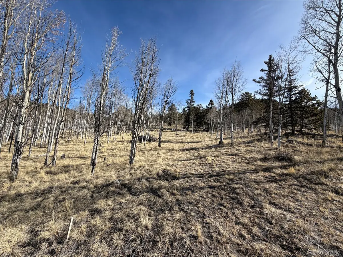 32 Sugar Loaf Lane, Jefferson, CO 80456 - #1