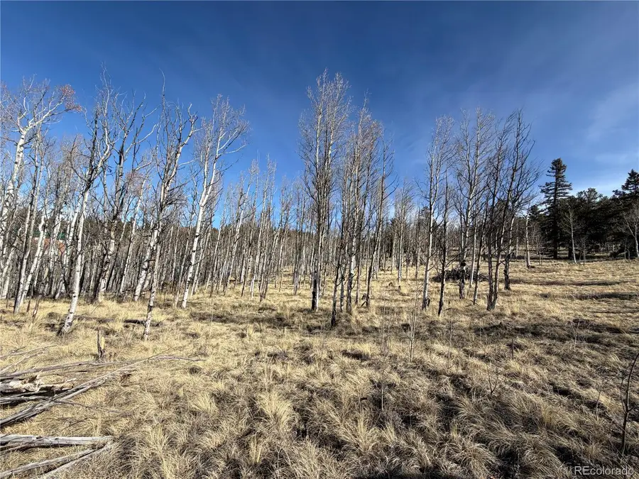 32 Sugar Loaf Lane, Jefferson, CO 80456 - #2