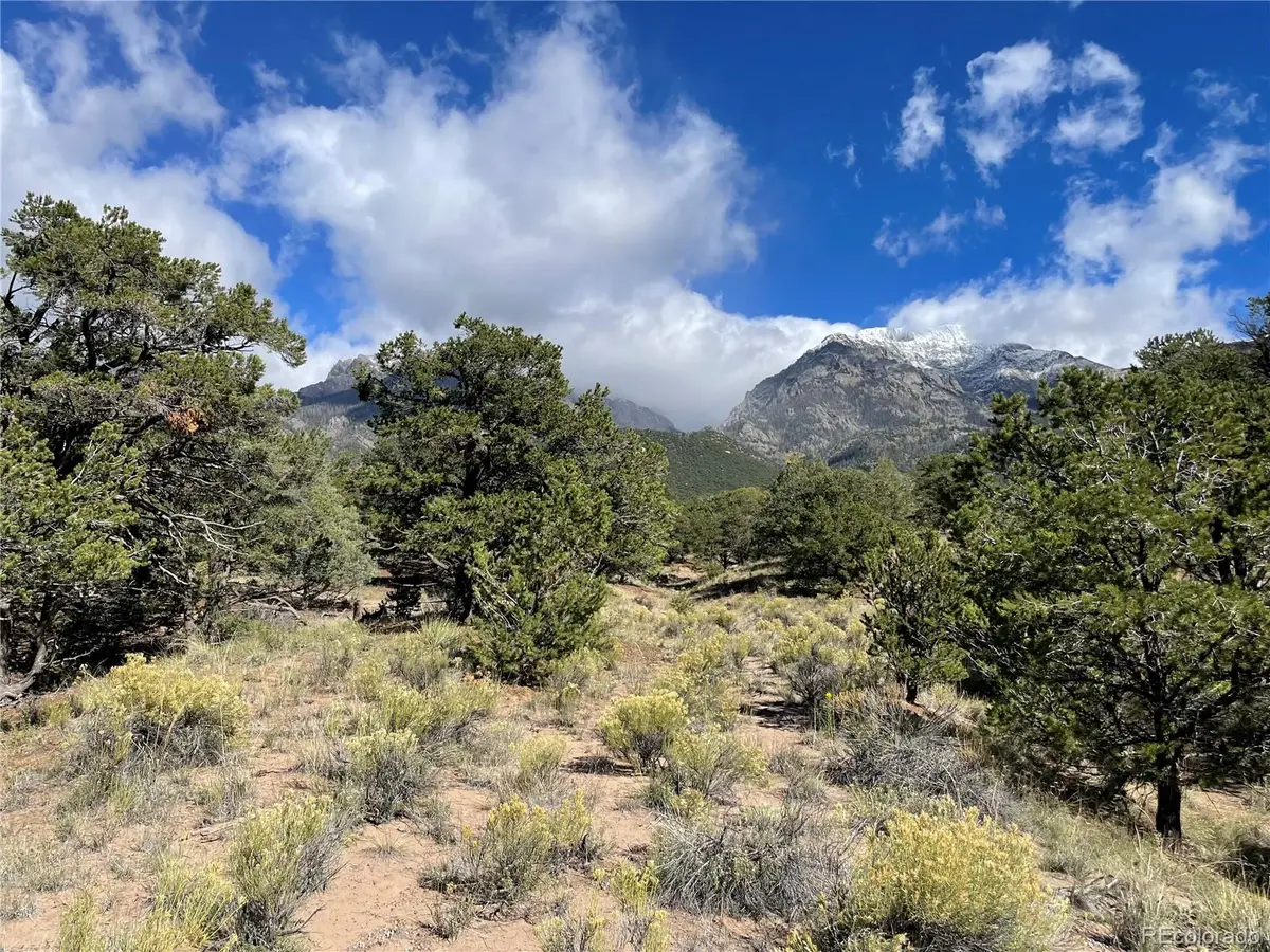 732 Rendezvous, Crestone, CO 81131 - #1