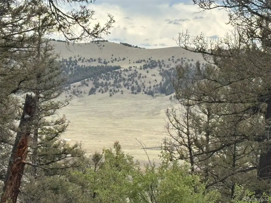 225 Trout Creek Lane, Fairplay, CO 80440 - #2