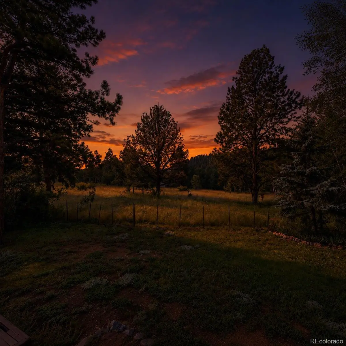 31280 Florence Road, Conifer, CO 80433 - #1