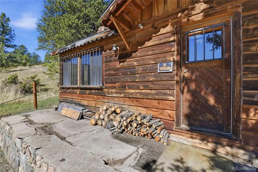 33601 Stransky Road, Evergreen, CO 80439 - #3