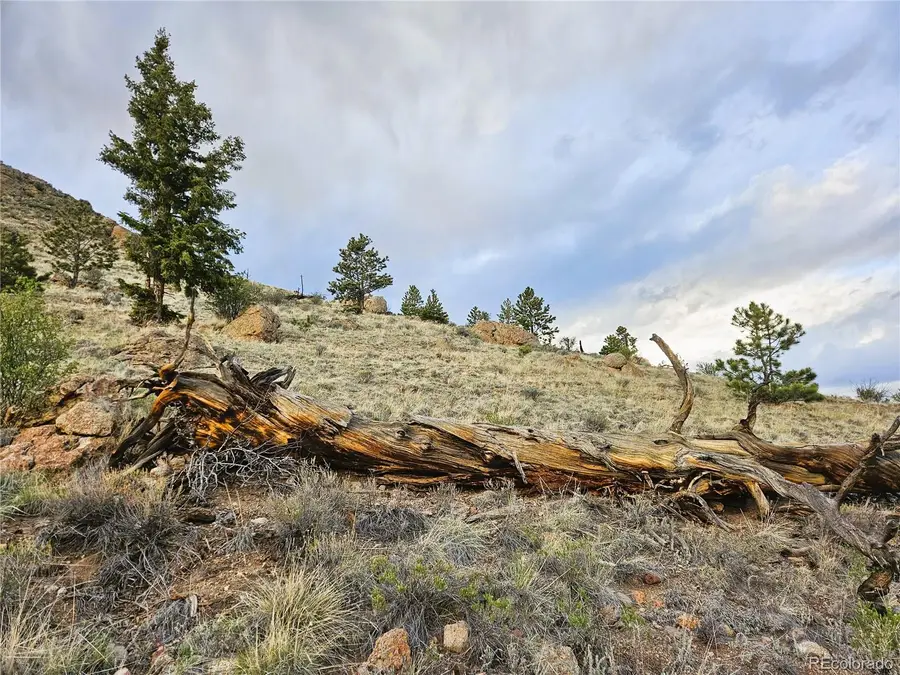 PCS#25468 Sioux Road, Hartsel, CO 80449 - #3