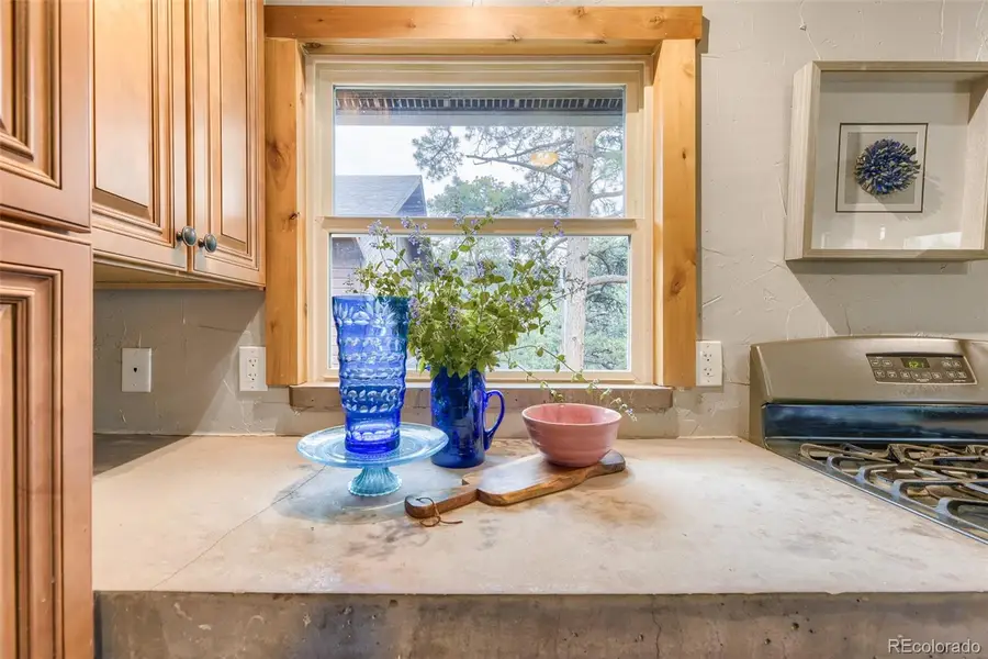 54 Zaza Lane, Evergreen, CO 80439 - #3