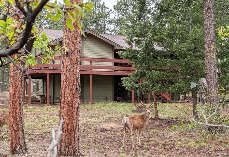 4490 Red Rock Drive, Larkspur, CO 80118 - #3