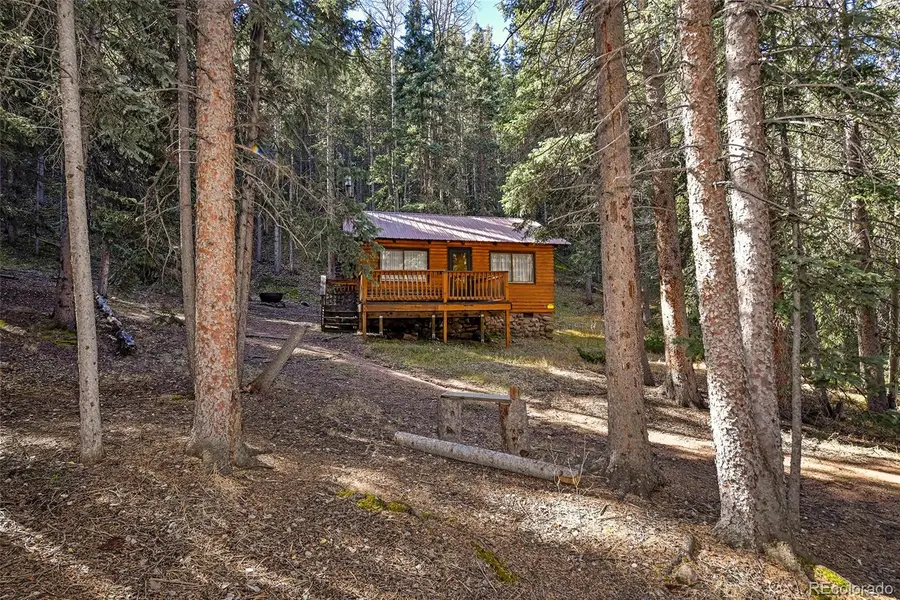 104 Usfs #383, Divide, CO 80814 - Image #3