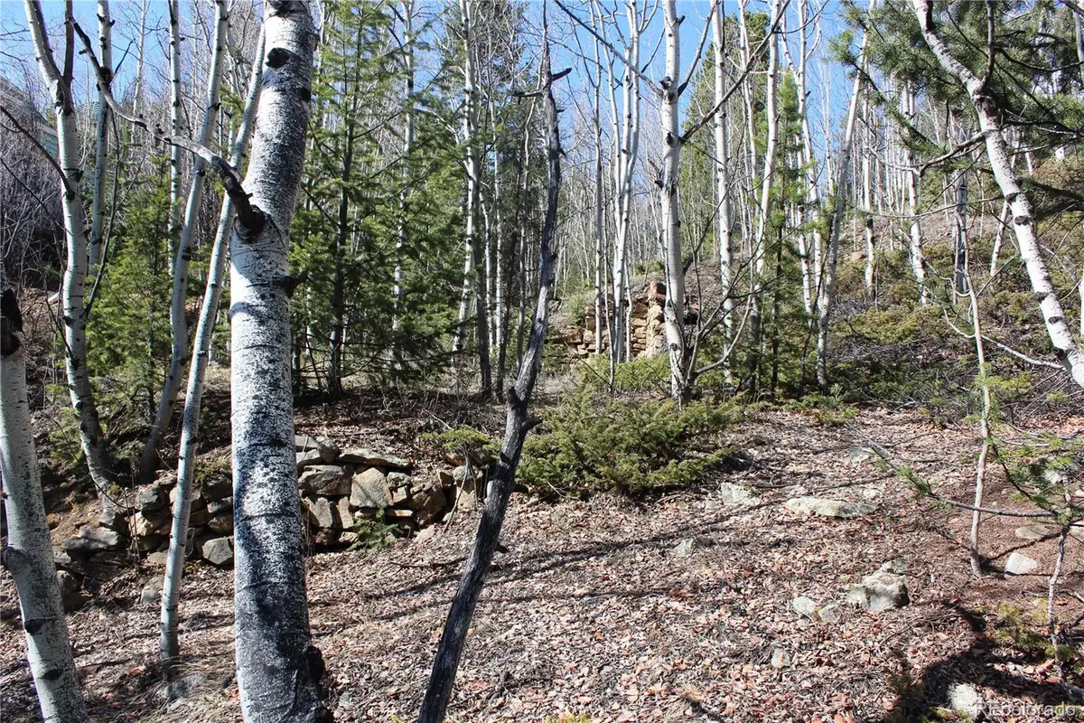 00 Spruce Street, Central City, CO 80427 - #1