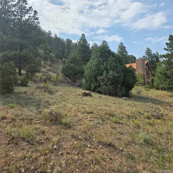 1139 Rio Grande Club Trail, South Fork, CO 81154