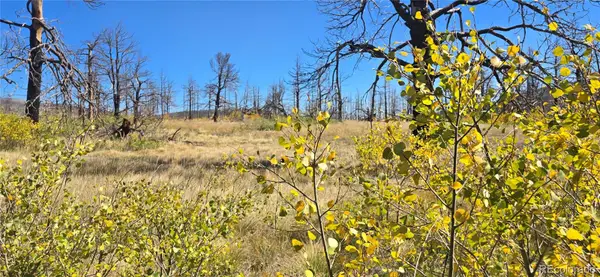 Lot 1684 Emery Loop, Fort Garland, CO 81133