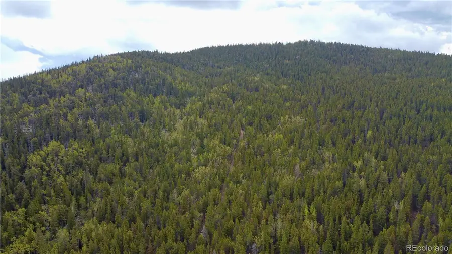 000 Hidden Wilderness Road, Evergreen, CO 80439 - #3