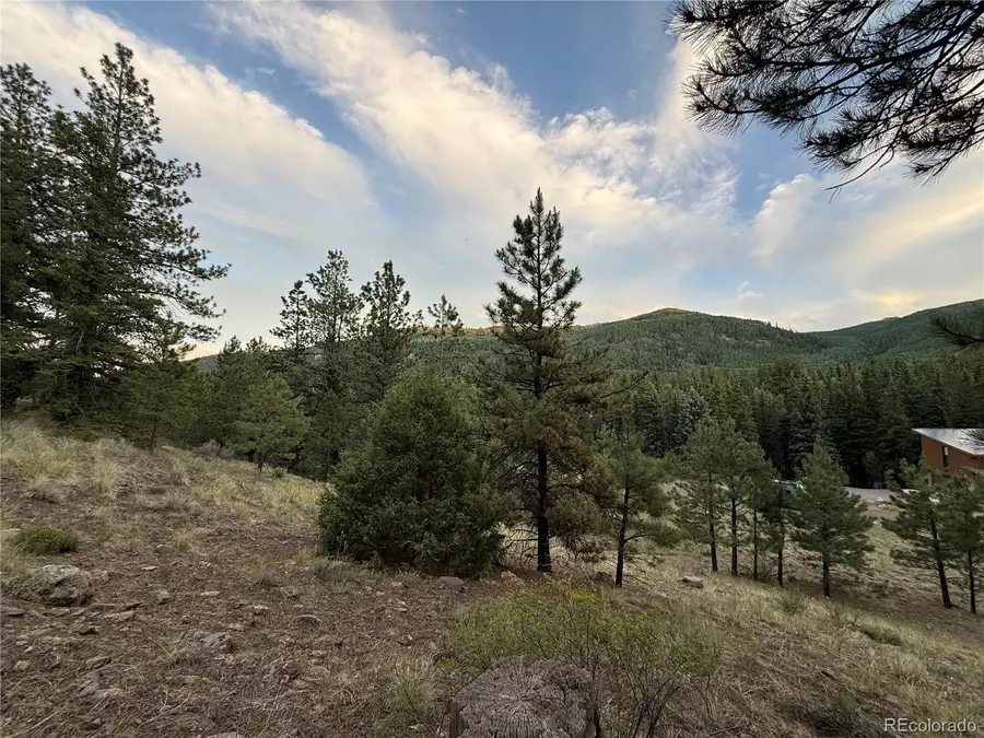 2 Beaver Trail, Antonito, CO 81120 - #3
