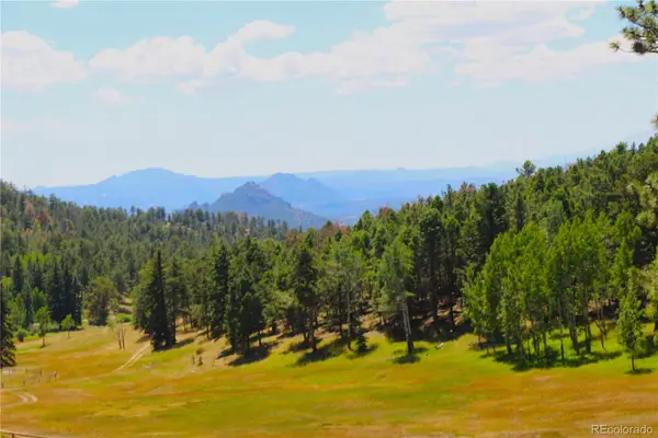 26115 Amy, Conifer, CO 80433
