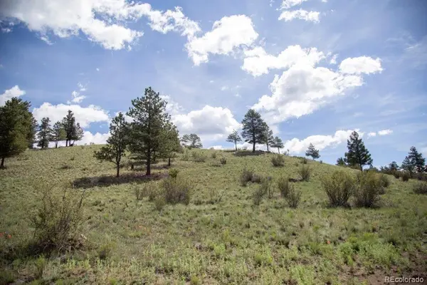 780 Cliff View Drive, Creede, CO 81130
