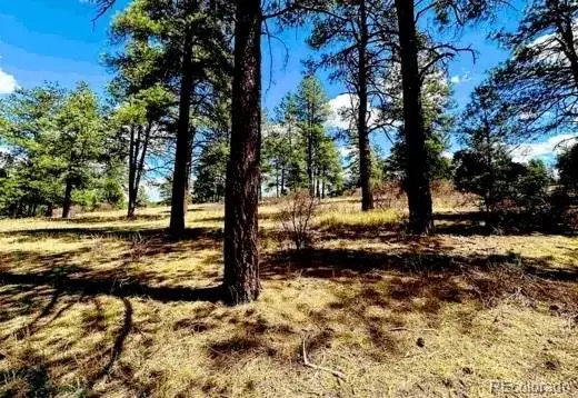 184 Aztec Drive, Pagosa Springs, CO 81147 - #2